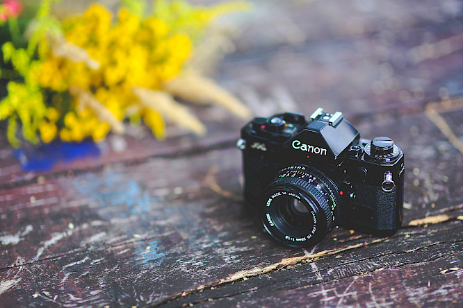 HANS HASS – PIONEER OF THE DEEP by Daniela Pulverer